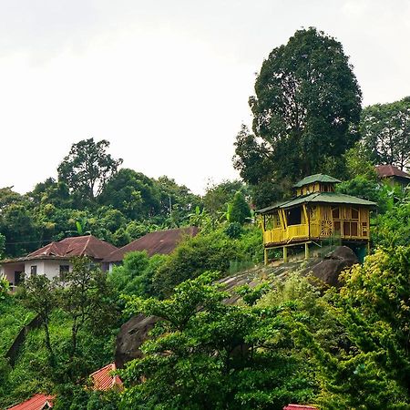 Oyo 10262 Hotel Munnar Rock Extérieur photo